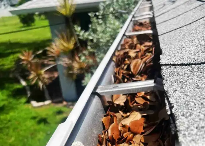 Ravenna gutter cleaning home page